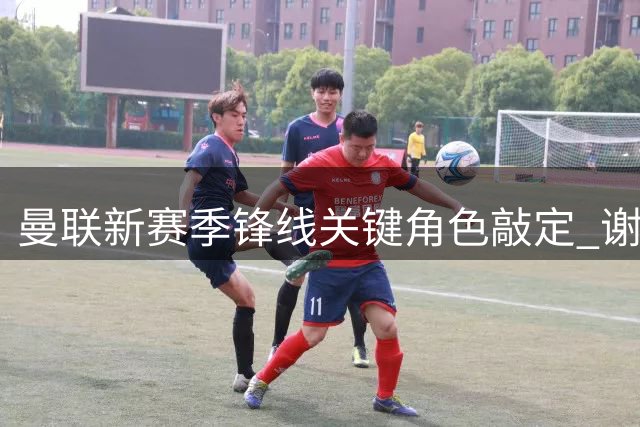 曼联新赛季锋线关键角色敲定 谢什科伤愈复出时间曝光